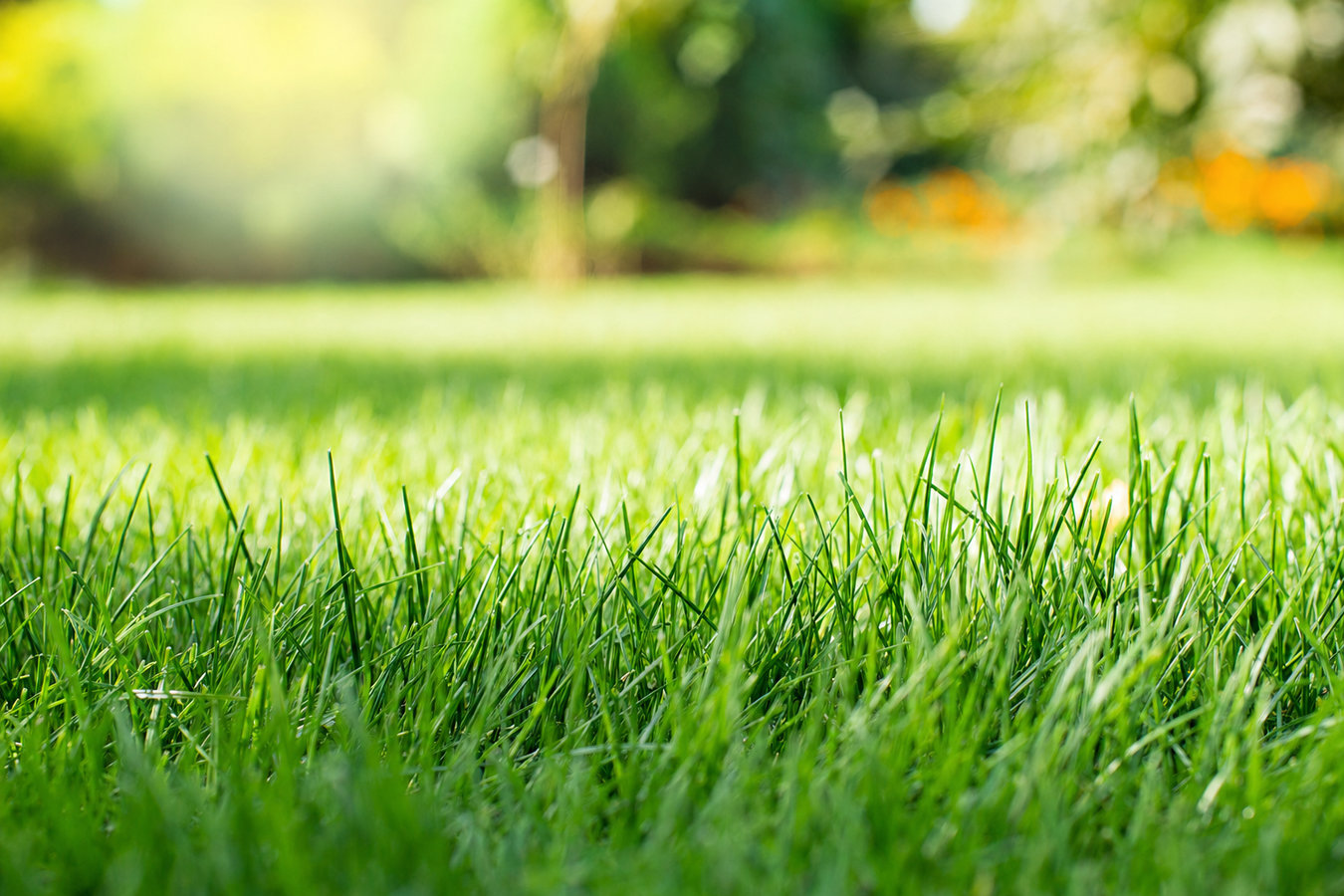 Artificial Grass Contractor services in Azusa
